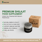 Himalayan Shilajit Resin 20G